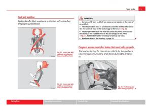 Seat-Ibiza-IV-4-owners-manual page 27 min