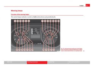 Seat-Ibiza-IV-4-owners-manual page 65 min