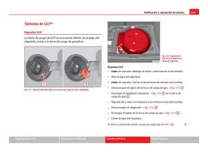 Seat-Ibiza-IV-4-manual-del-propietario page 211 min