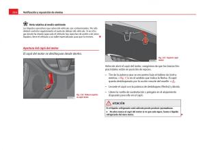 Seat-Ibiza-IV-4-manual-del-propietario page 218 min