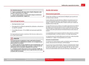 Seat-Ibiza-IV-4-manual-del-propietario page 219 min