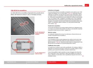 Seat-Ibiza-IV-4-manual-del-propietario page 235 min