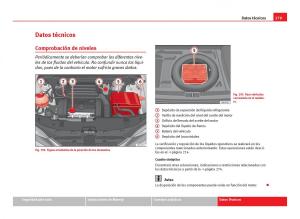 Seat-Ibiza-IV-4-manual-del-propietario page 281 min