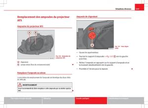 Seat-Ibiza-IV-4-manuel-du-proprietaire page 251 min