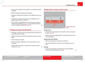 Seat-Ibiza-IV-4-manuel-du-proprietaire page 255 min