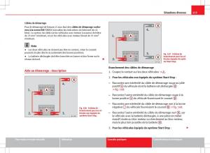 Seat-Ibiza-IV-4-manuel-du-proprietaire page 257 min