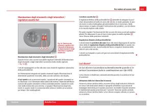 Seat-Ibiza-IV-4-manuale-del-proprietario page 105 min