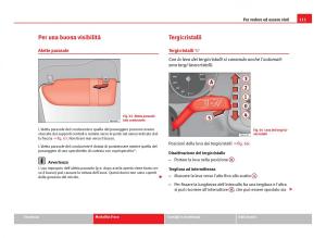 Seat-Ibiza-IV-4-manuale-del-proprietario page 113 min