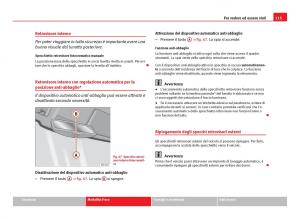 Seat-Ibiza-IV-4-manuale-del-proprietario page 117 min