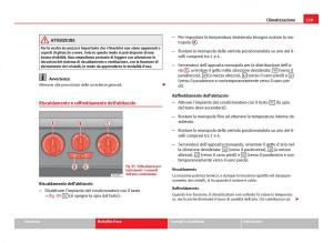 Seat-Ibiza-IV-4-manuale-del-proprietario page 141 min