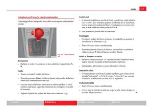 Seat-Ibiza-IV-4-manuale-del-proprietario page 159 min