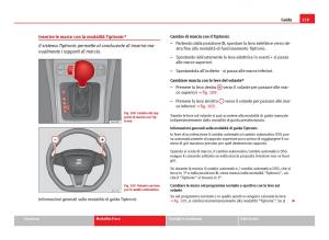 Seat-Ibiza-IV-4-manuale-del-proprietario page 161 min