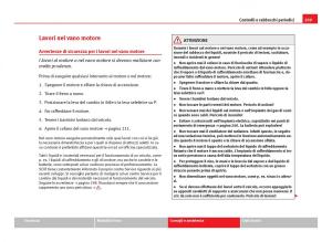 Seat-Ibiza-IV-4-manuale-del-proprietario page 211 min