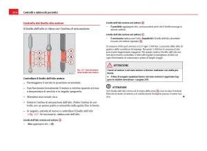 Seat-Ibiza-IV-4-manuale-del-proprietario page 216 min