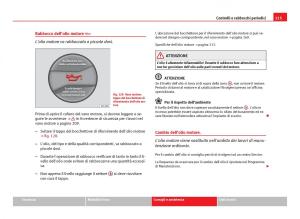 Seat-Ibiza-IV-4-manuale-del-proprietario page 217 min