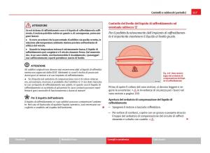 Seat-Ibiza-IV-4-manuale-del-proprietario page 219 min