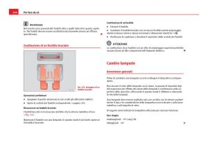 Seat-Ibiza-IV-4-manuale-del-proprietario page 246 min