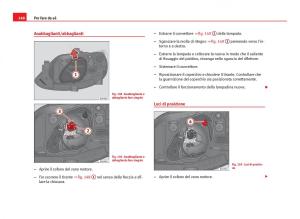 Seat-Ibiza-IV-4-manuale-del-proprietario page 250 min