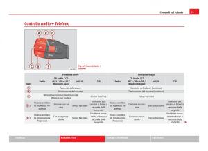 Seat-Ibiza-IV-4-manuale-del-proprietario page 81 min