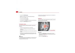 Seat-Leon-II-2-Handbuch page 256 min