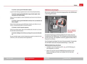 Seat-Leon-III-3-Handbuch page 191 min