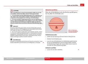 Seat-Leon-III-3-Handbuch page 271 min