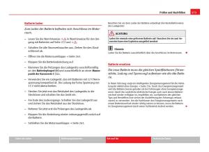 Seat-Leon-III-3-Handbuch page 275 min