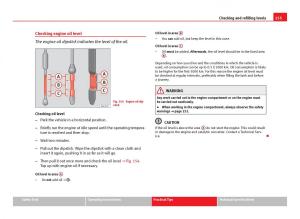 Seat-Leon-III-3-owners-manual page 257 min