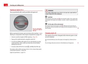 Seat-Leon-III-3-owners-manual page 258 min