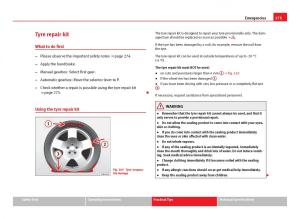 Seat-Leon-III-3-owners-manual page 277 min