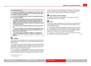 Seat-Leon-III-3-manual-del-propietario page 261 min