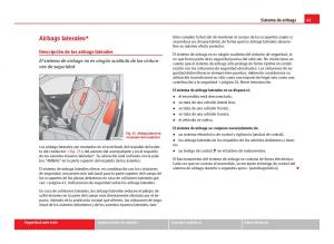 Seat-Leon-III-3-manual-del-propietario page 43 min