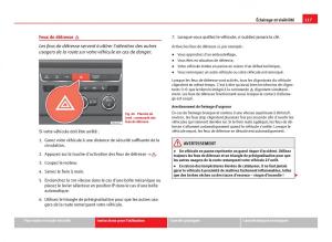 Seat-Leon-III-3-manuel-du-proprietaire page 119 min