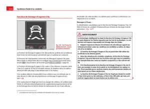 Seat-Leon-III-3-manuel-du-proprietaire page 216 min