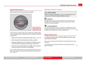 Seat-Leon-III-3-manuel-du-proprietaire page 269 min