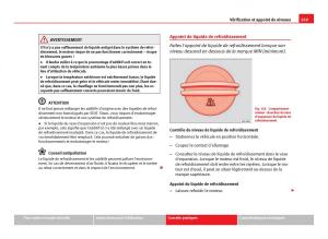 Seat-Leon-III-3-manuel-du-proprietaire page 271 min