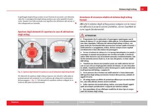 Seat-Leon-III-3-manuale-del-proprietario page 41 min