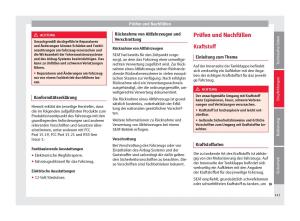 Seat-Mii-Handbuch page 145 min