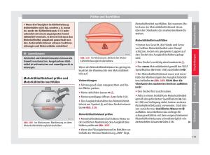 Seat-Mii-Handbuch page 161 min