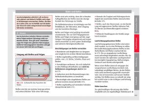 Seat-Mii-Handbuch page 169 min