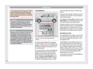 Seat-Mii-Handbuch page 172 min