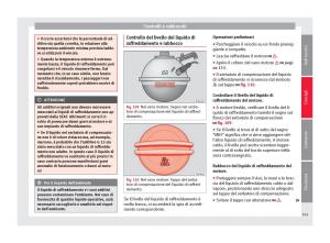 Seat-Mii-manuale-del-proprietario page 163 min