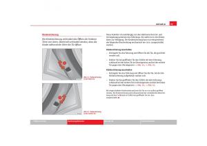 Seat-Toledo-III-3-Handbuch page 101 min