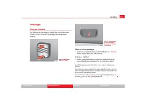 Seat-Toledo-III-3-Handbuch page 107 min