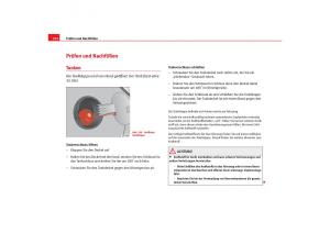 Seat-Toledo-III-3-Handbuch page 214 min