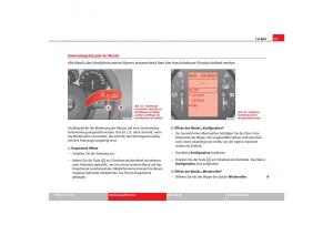 Seat-Toledo-III-3-Handbuch page 69 min