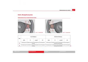 Seat-Toledo-III-3-Handbuch page 91 min