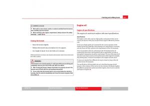 Seat-Toledo-III-3-owners-manual page 213 min