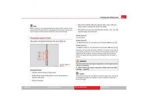 Seat-Toledo-III-3-owners-manual page 215 min