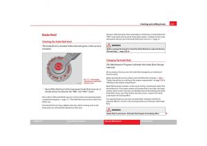 Seat-Toledo-III-3-owners-manual page 223 min